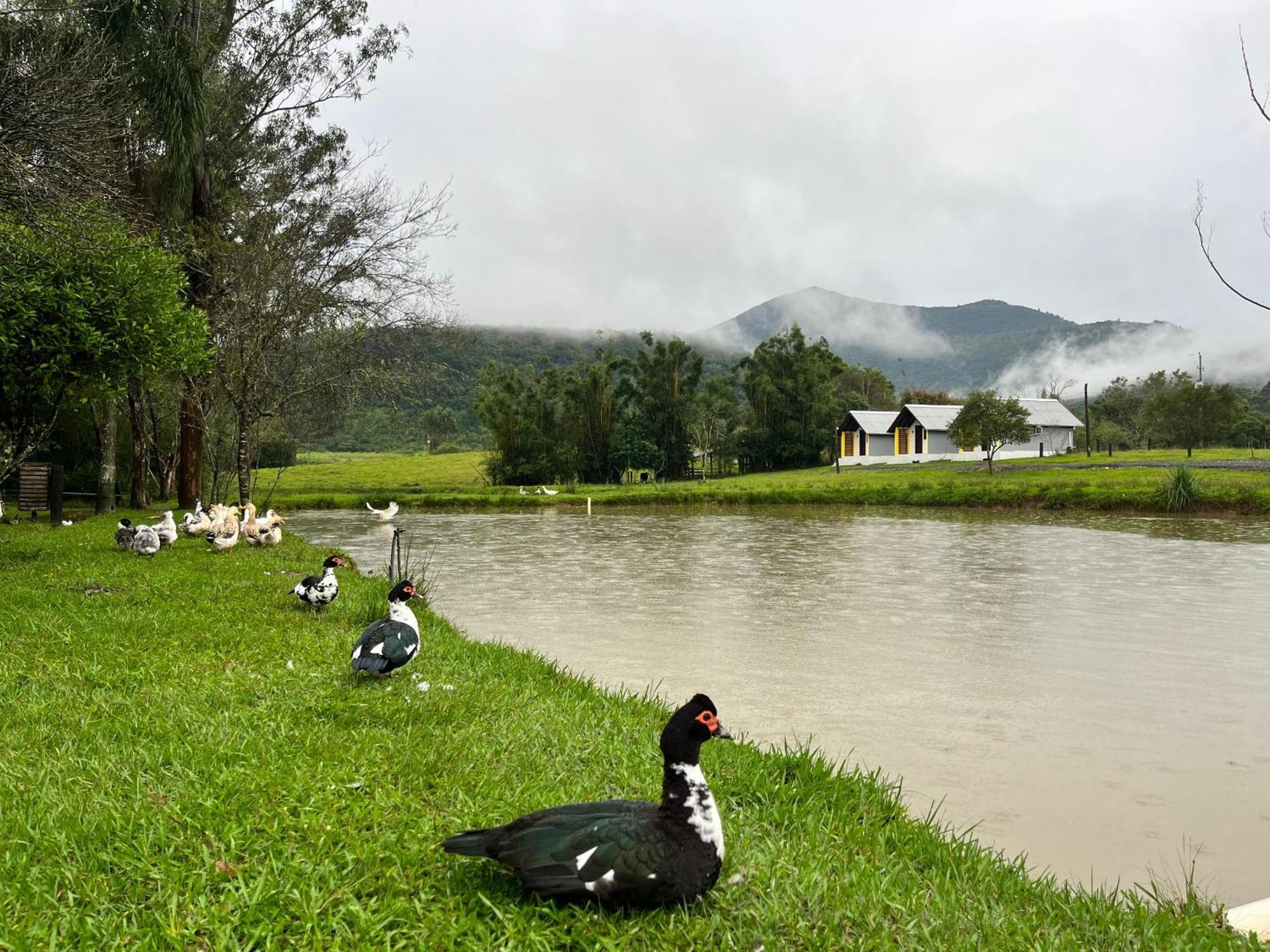 Pousada Rural Encantos Da Natureza Caraa Esterno foto